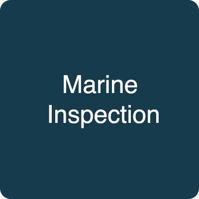marine inspection
